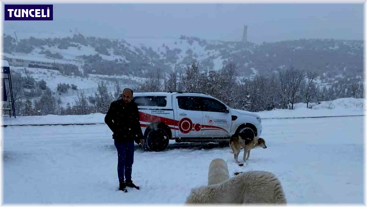 Tunceli de sokak hayvanlarına mama ve su desteği Tunceli Haber