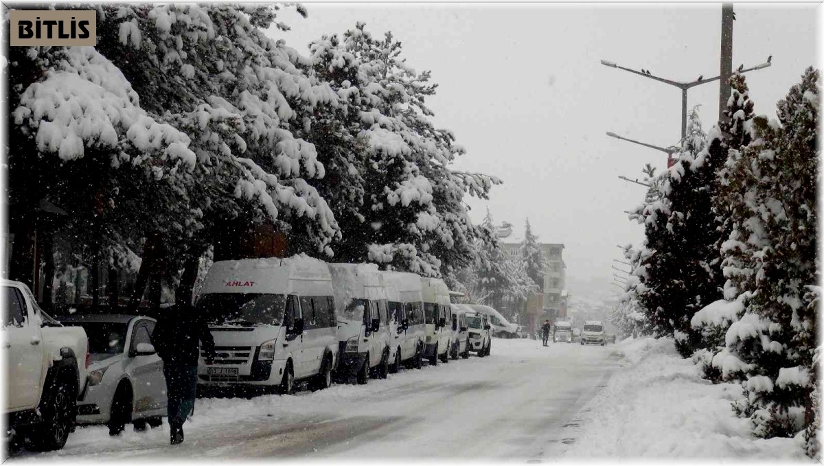 Ahlat ta yoğun kar yağışı Bitlis Haberleri Diyadinnet