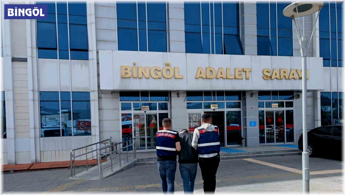 Bingöl'de 20 yıl kesinleşmiş hapis cezası olan şahıs yakalandı