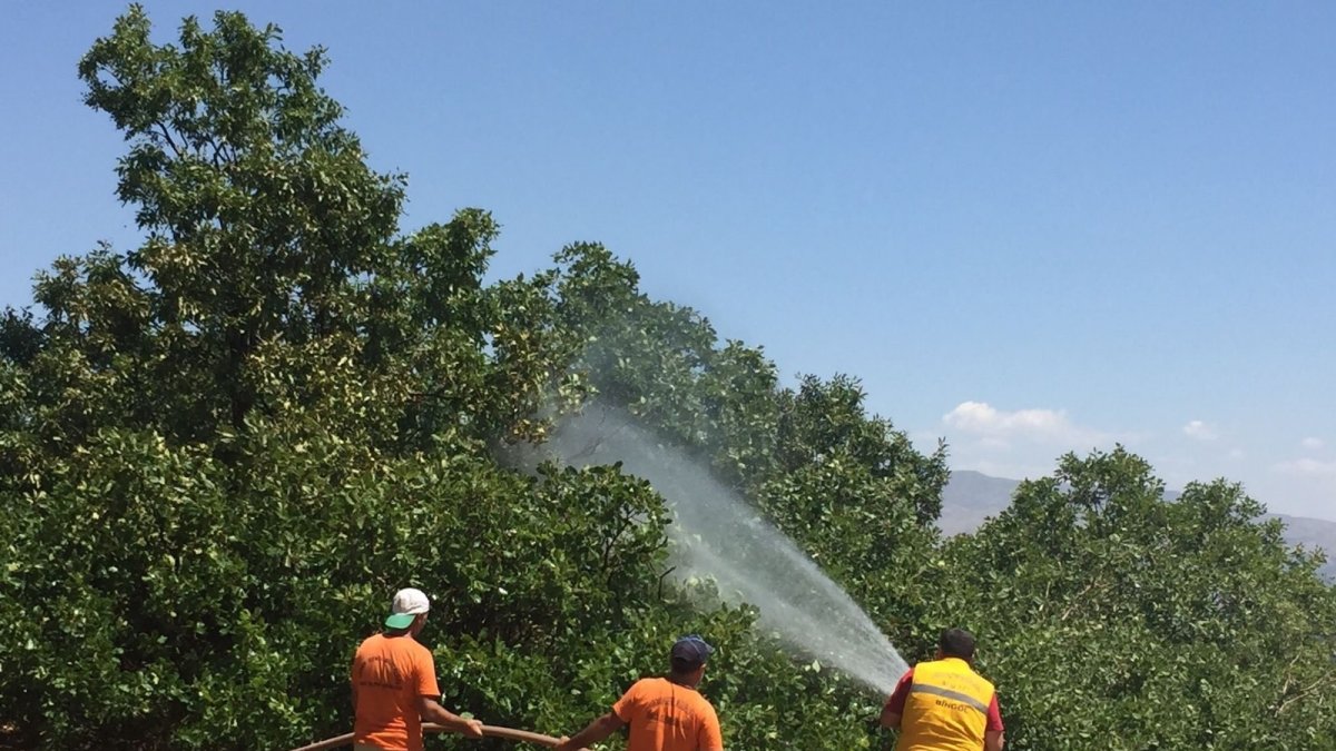 Bingöl'deki orman yangını söndürüldü, soğutma çalışmaları sürüyor