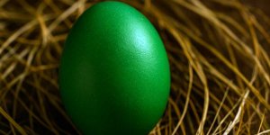 Rüyada Yeşil Yumurta Görmek