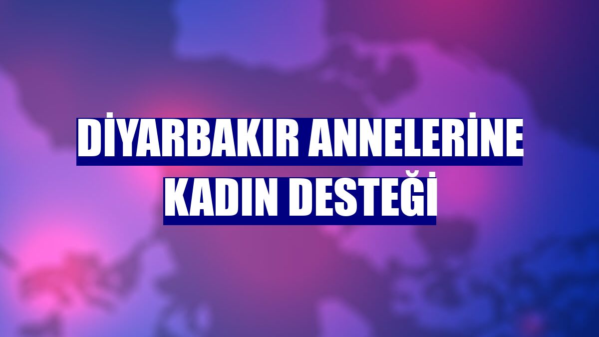 Diyarbakır annelerine kadın desteği