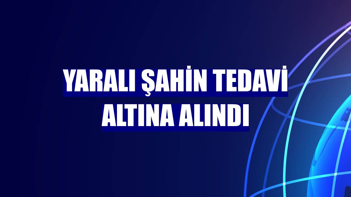 Yaralı şahin tedavi altına alındı