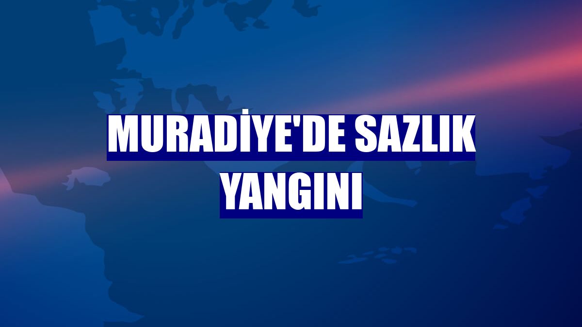 Muradiye'de sazlık yangını