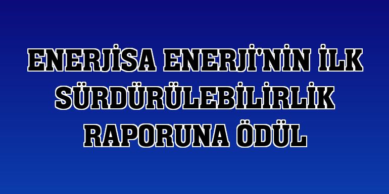 Enerjisa Enerji'nin ilk sürdürülebilirlik raporuna ödül