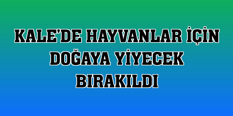 Kale'de hayvanlar için doğaya yiyecek bırakıldı