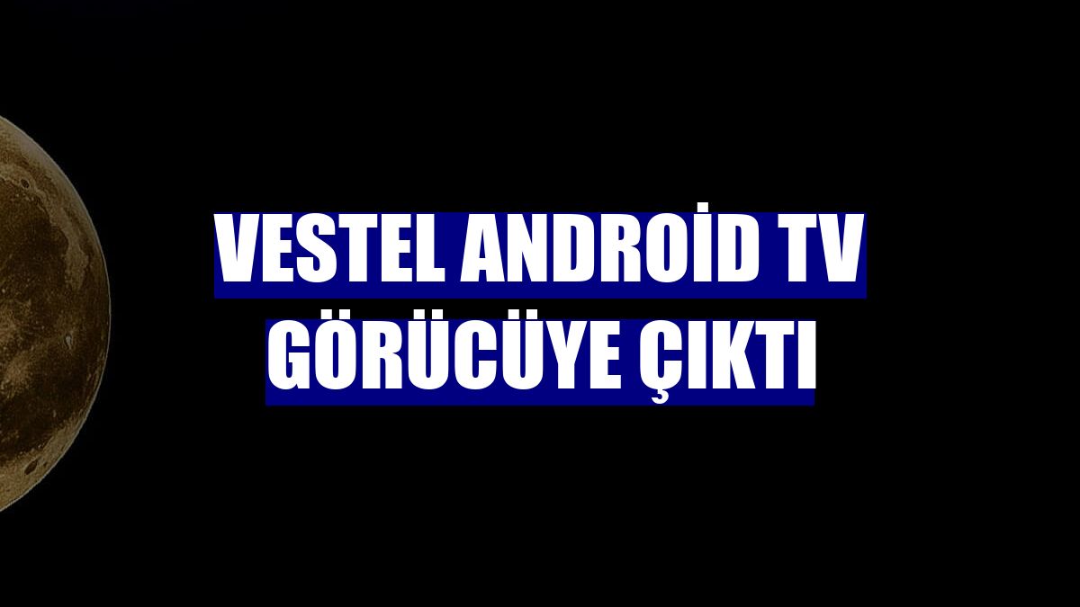 Vestel Android TV görücüye çıktı