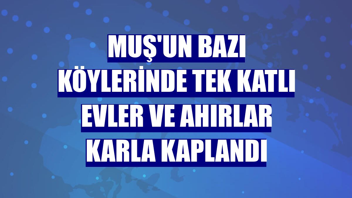 Muş'un bazı köylerinde tek katlı evler ve ahırlar karla kaplandı