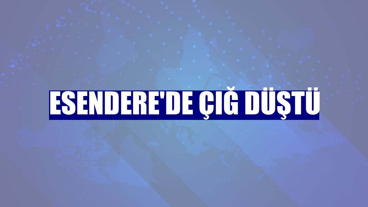 Esendere'de çığ düştü