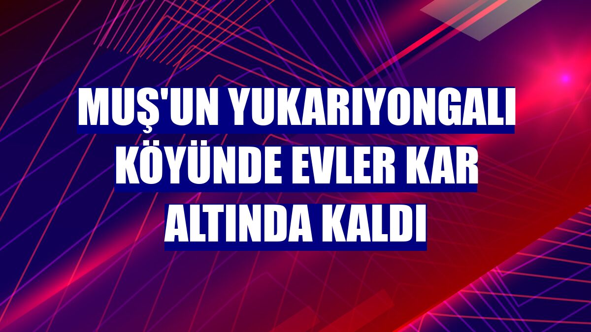 Muş'un Yukarıyongalı köyünde evler kar altında kaldı