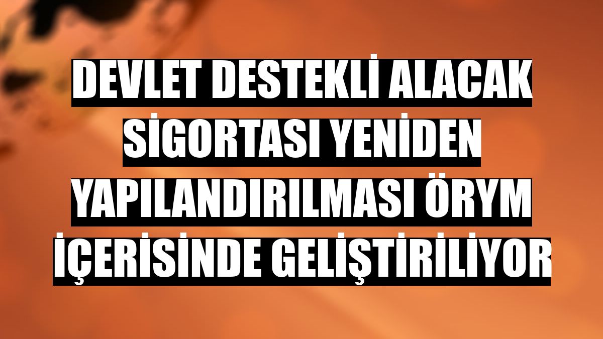 Devlet Destekli Alacak Sigortası yeniden yapılandırılması ÖRYM içerisinde geliştiriliyor