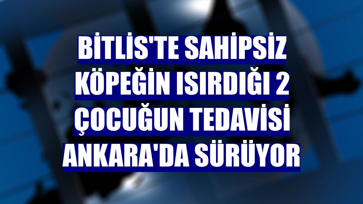 Bitlis'te sahipsiz köpeğin ısırdığı 2 çocuğun tedavisi Ankara'da sürüyor