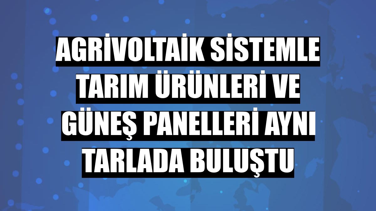 Agrivoltaik sistemle tarım ürünleri ve güneş panelleri aynı tarlada buluştu