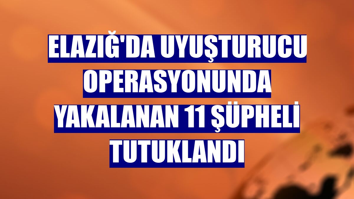 Elazığ'da uyuşturucu operasyonunda yakalanan 11 şüpheli tutuklandı