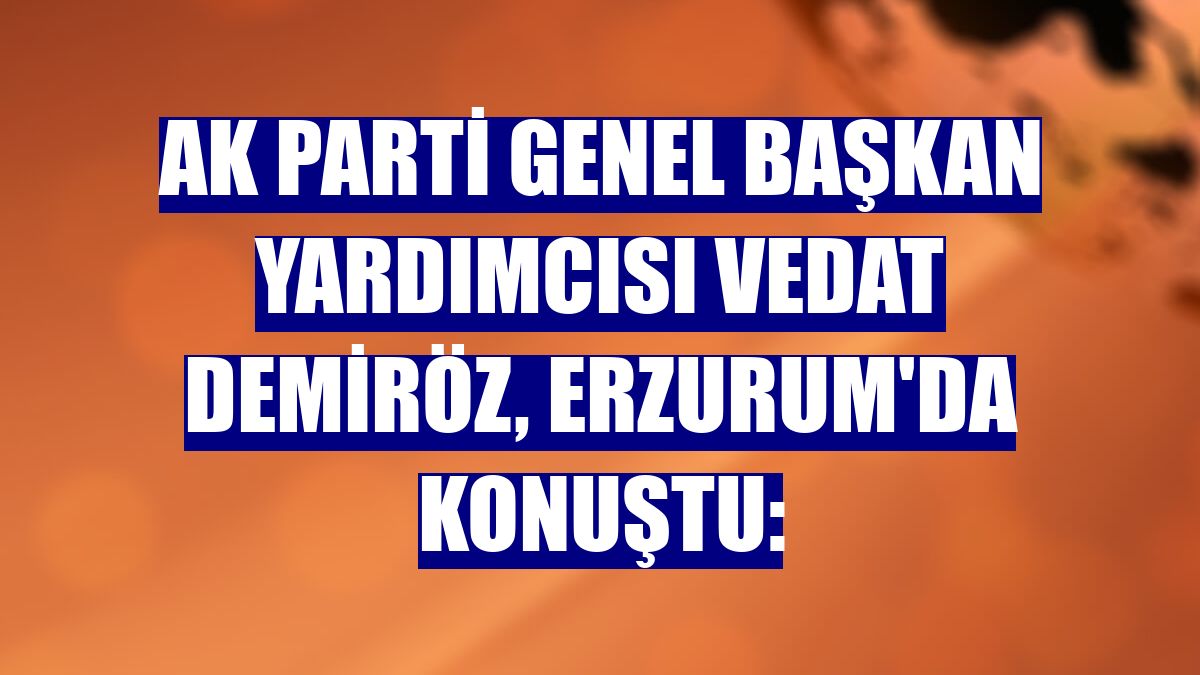 AK Parti Genel Başkan Yardımcısı Vedat Demiröz, Erzurum'da konuştu: