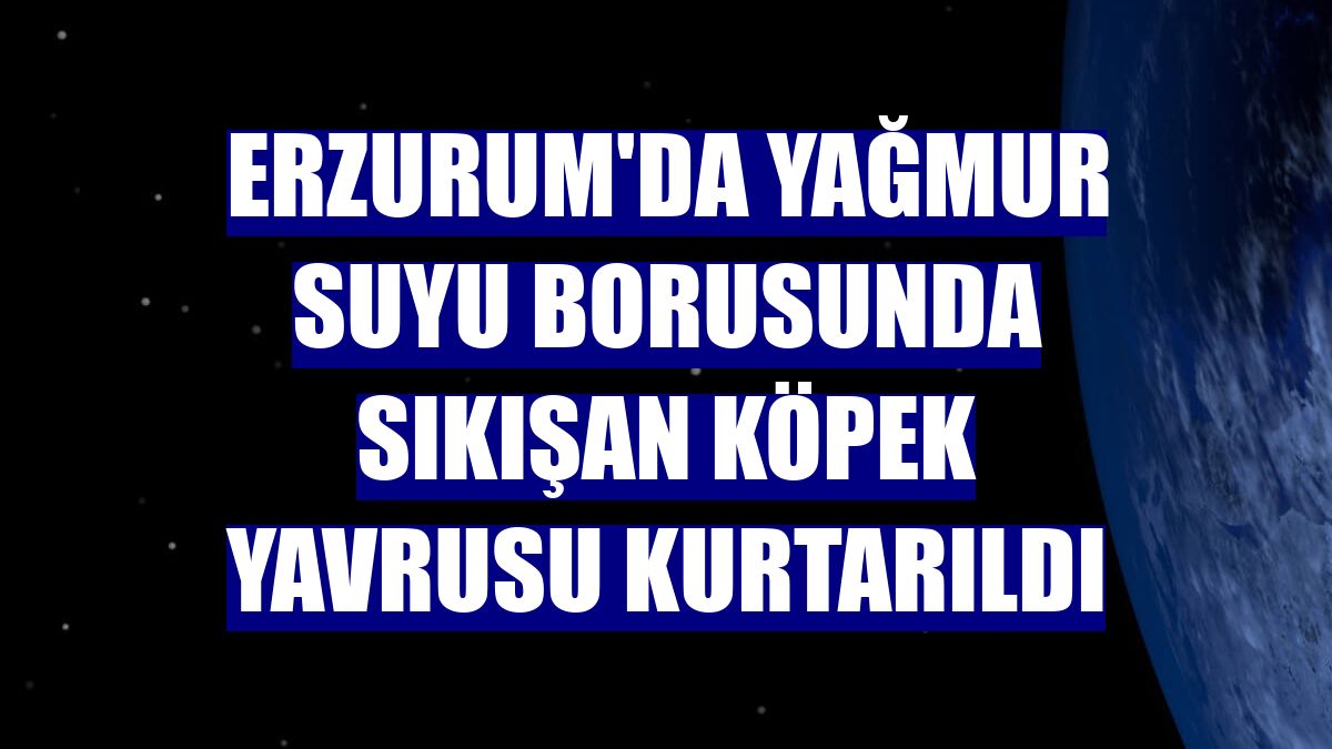 Erzurum'da yağmur suyu borusunda sıkışan köpek yavrusu kurtarıldı