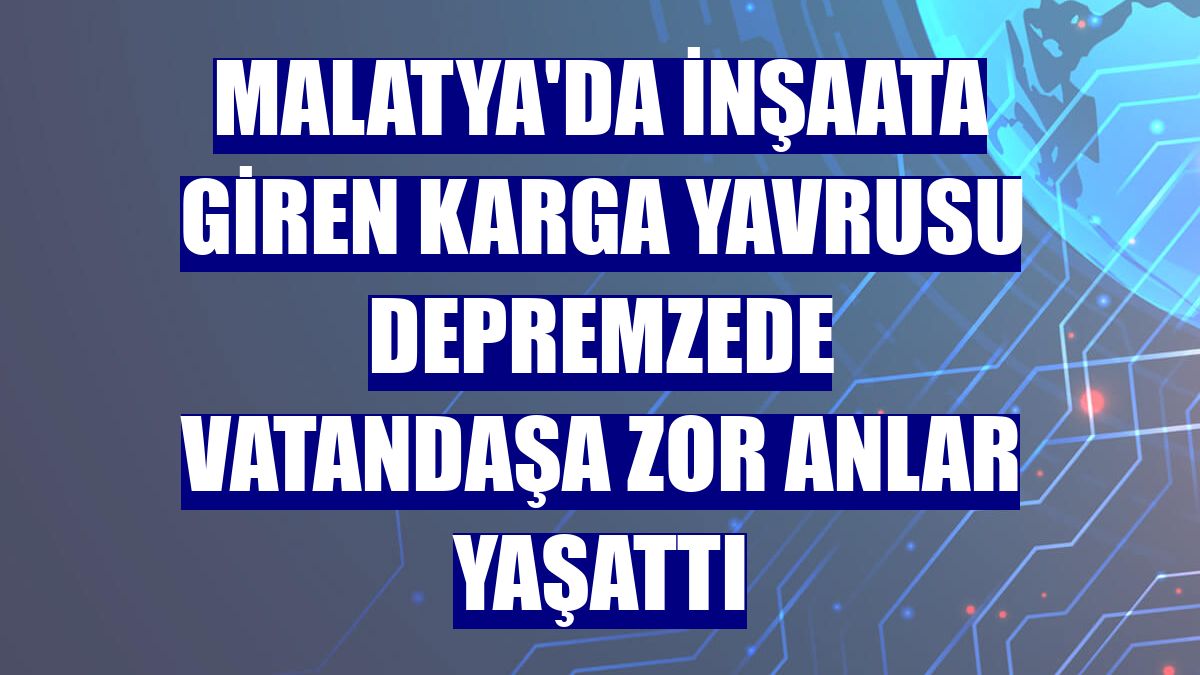 Malatya'da inşaata giren karga yavrusu depremzede vatandaşa zor anlar yaşattı