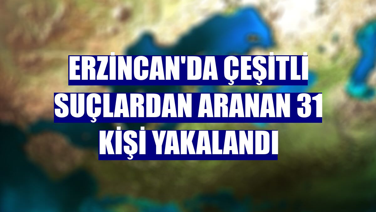 Erzincan'da çeşitli suçlardan aranan 31 kişi yakalandı