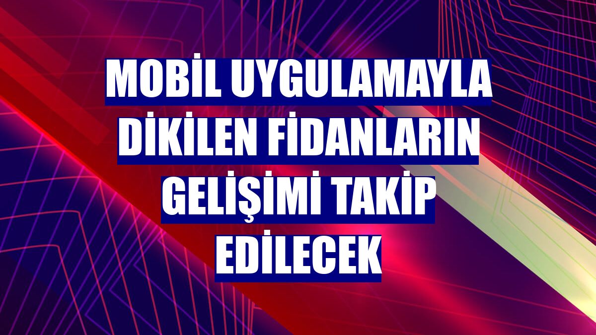 Mobil uygulamayla dikilen fidanların gelişimi takip edilecek