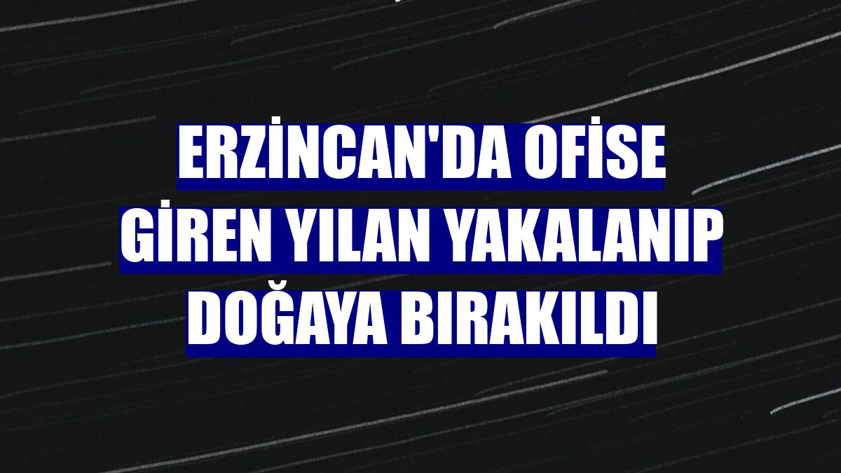 Erzincan'da ofise giren yılan yakalanıp doğaya bırakıldı