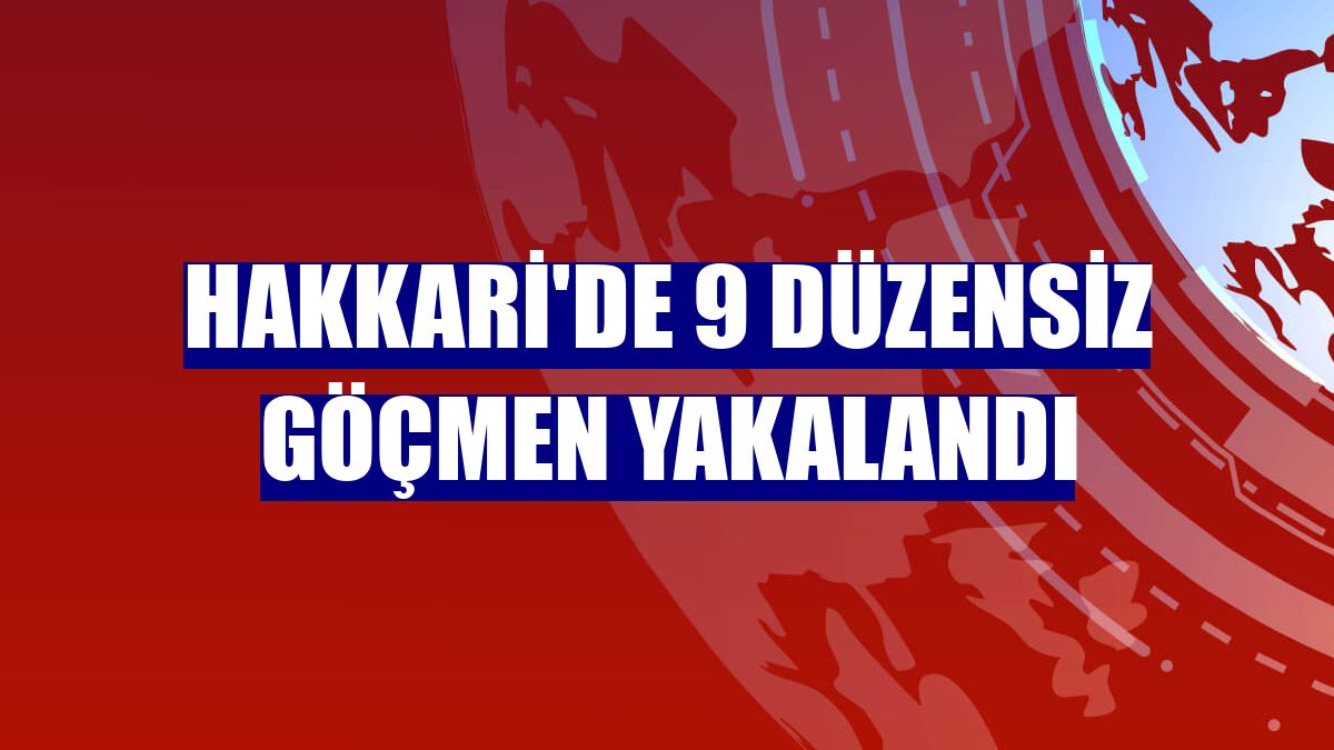 Hakkari'de 9 düzensiz göçmen yakalandı