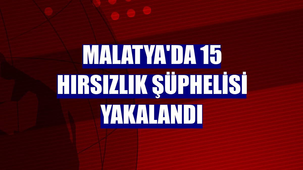 Malatya'da 15 hırsızlık şüphelisi yakalandı