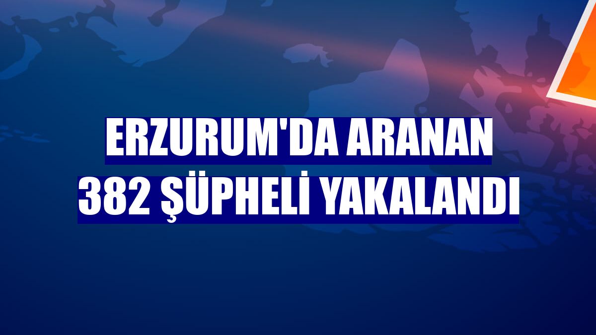 Erzurum'da aranan 382 şüpheli yakalandı