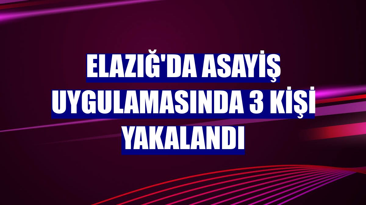 Elazığ'da asayiş uygulamasında 3 kişi yakalandı