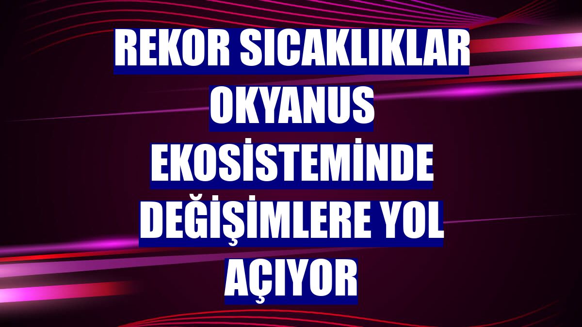 Rekor sıcaklıklar okyanus ekosisteminde değişimlere yol açıyor