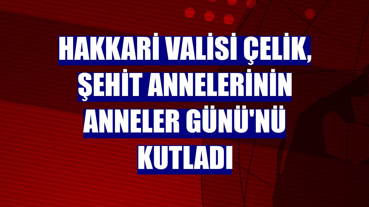 Hakkari Valisi Çelik, şehit annelerinin Anneler Günü'nü kutladı