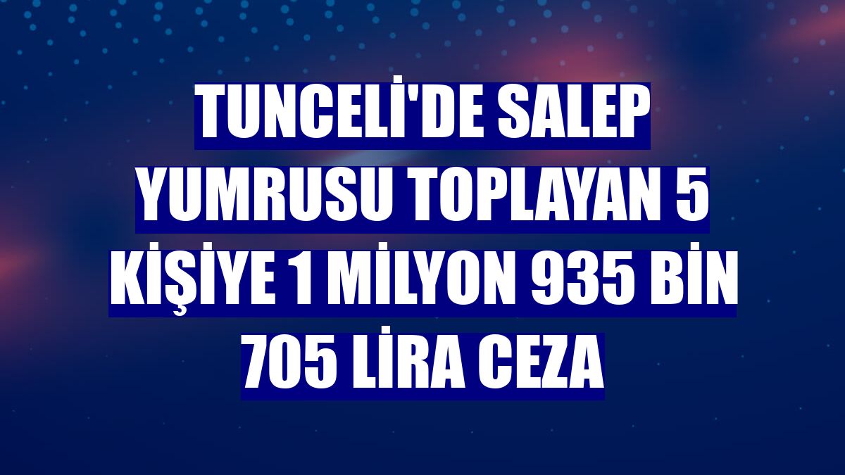 Tunceli'de salep yumrusu toplayan 5 kişiye 1 milyon 935 bin 705 lira ceza