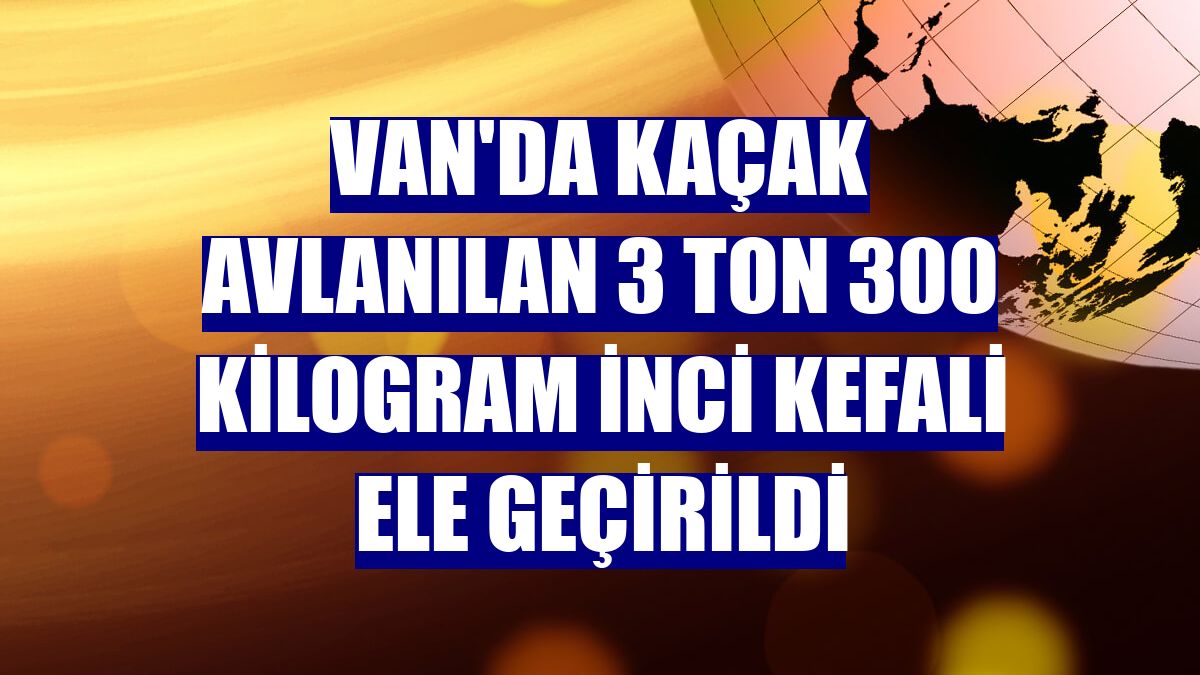 Van'da kaçak avlanılan 3 ton 300 kilogram inci kefali ele geçirildi