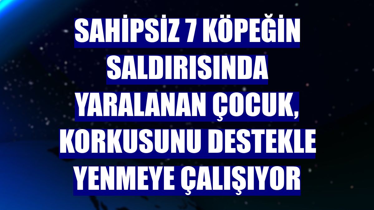 Sahipsiz 7 köpeğin saldırısında yaralanan çocuk, korkusunu destekle yenmeye çalışıyor