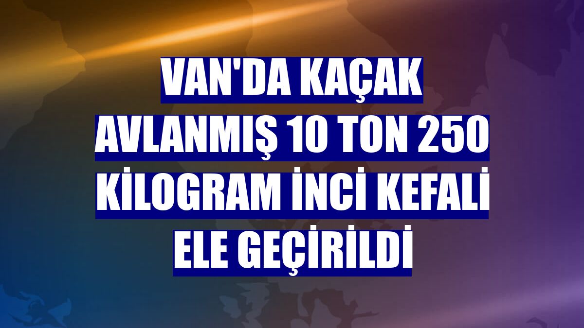 Van'da kaçak avlanmış 10 ton 250 kilogram inci kefali ele geçirildi