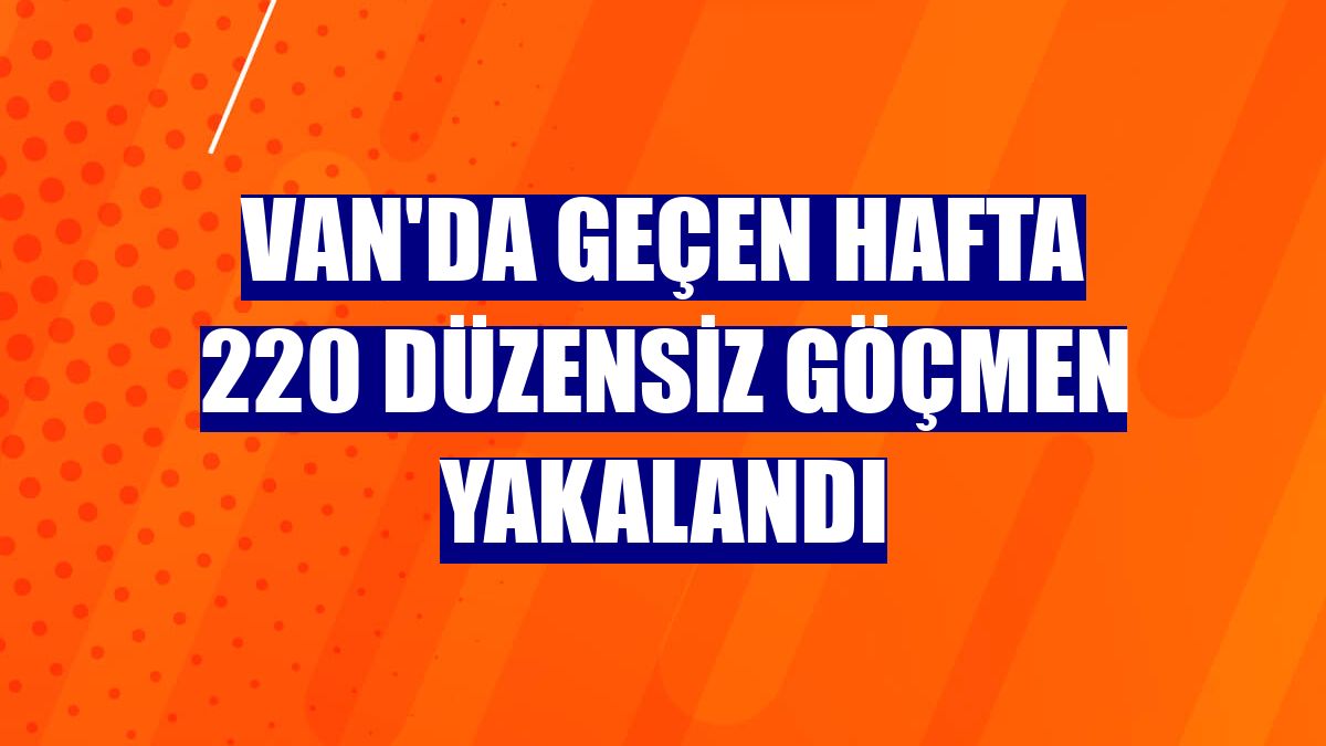 Van'da geçen hafta 220 düzensiz göçmen yakalandı