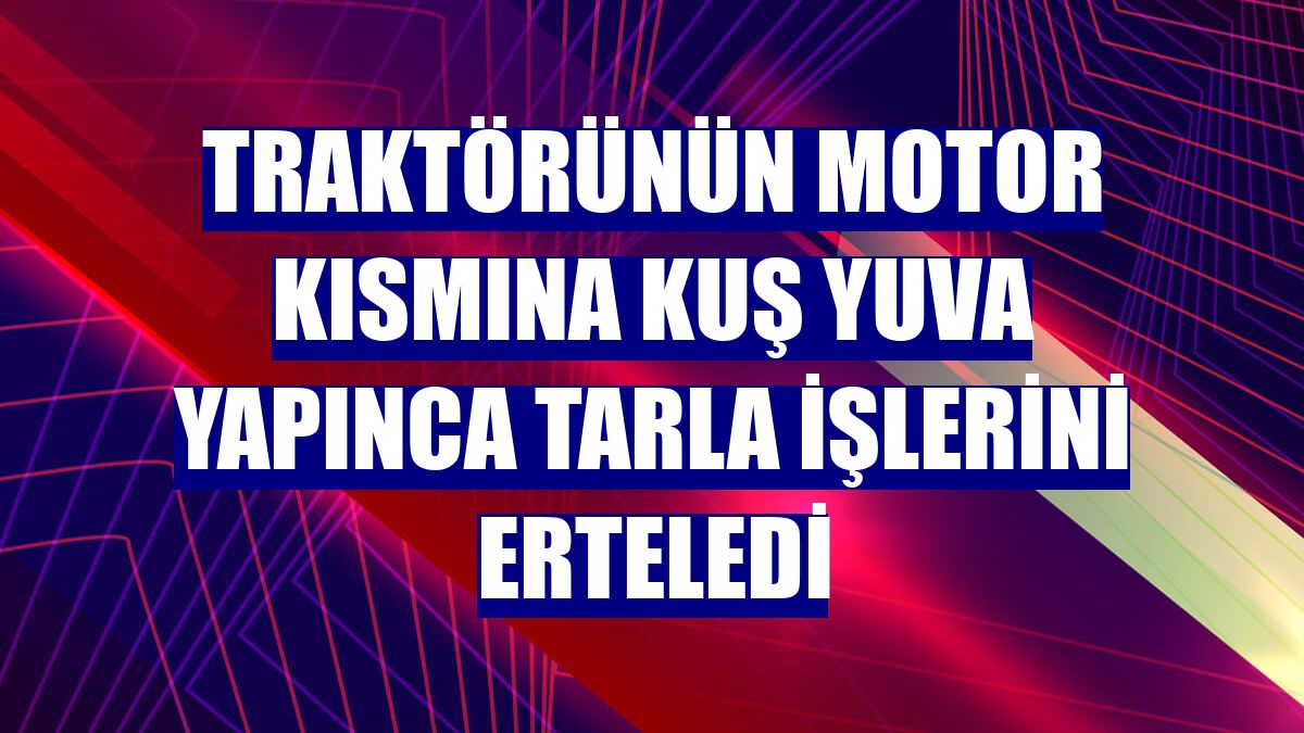 Traktörünün motor kısmına kuş yuva yapınca tarla işlerini erteledi