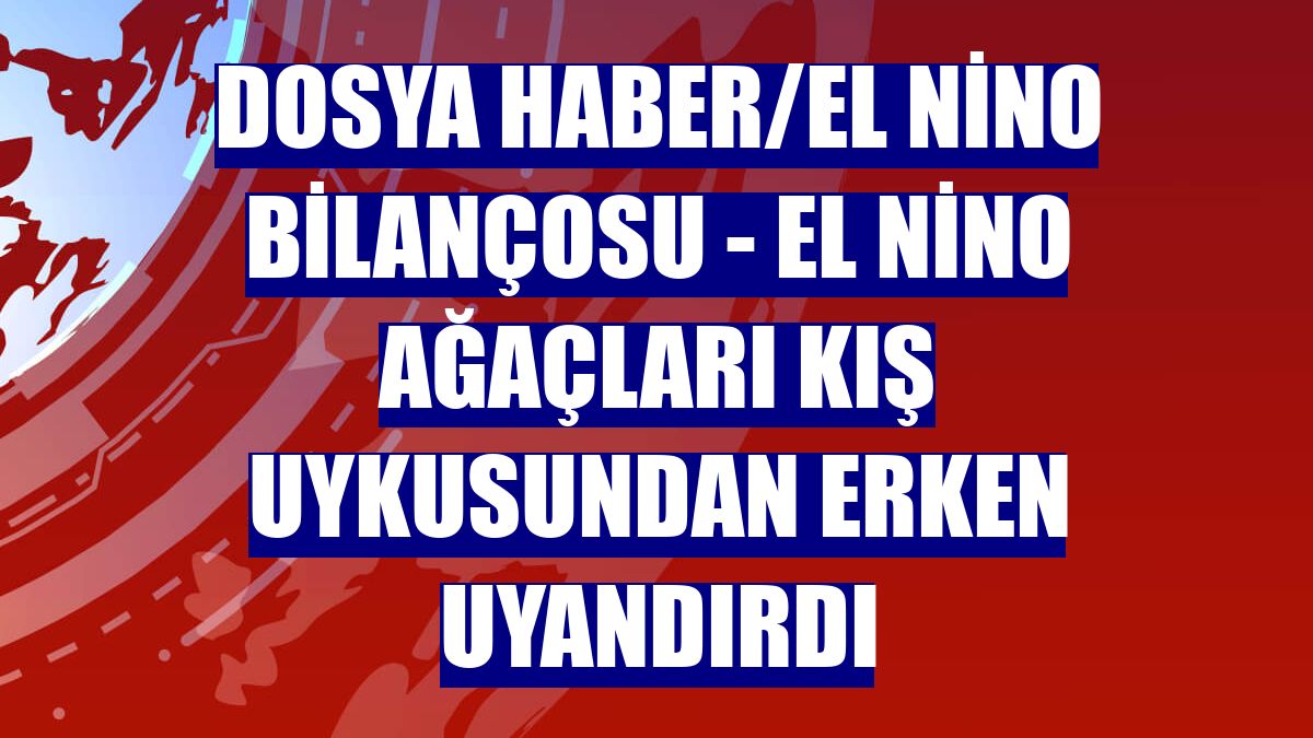 DOSYA HABER/EL NİNO BİLANÇOSU - El Nino ağaçları kış uykusundan erken uyandırdı