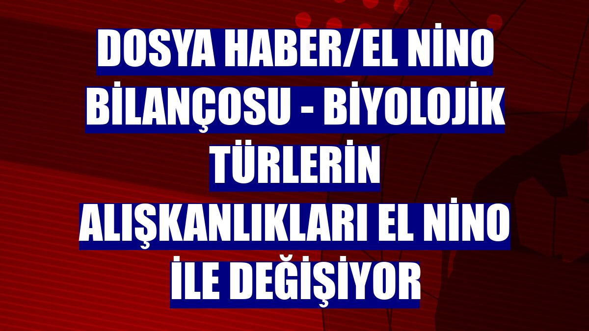 DOSYA HABER/EL NİNO BİLANÇOSU - Biyolojik türlerin alışkanlıkları El Nino ile değişiyor