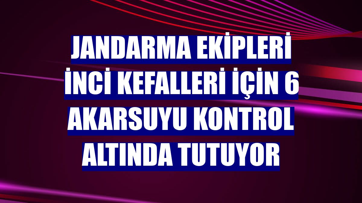 Jandarma ekipleri inci kefalleri için 6 akarsuyu kontrol altında tutuyor