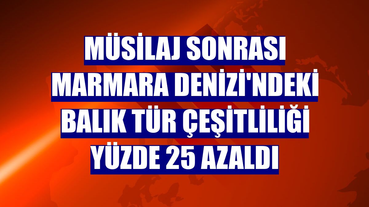 Müsilaj sonrası Marmara Denizi'ndeki balık tür çeşitliliği yüzde 25 azaldı