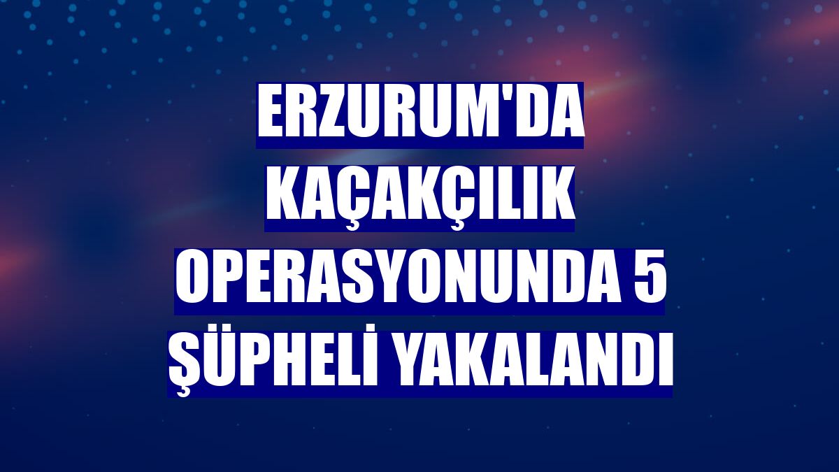 Erzurum'da kaçakçılık operasyonunda 5 şüpheli yakalandı