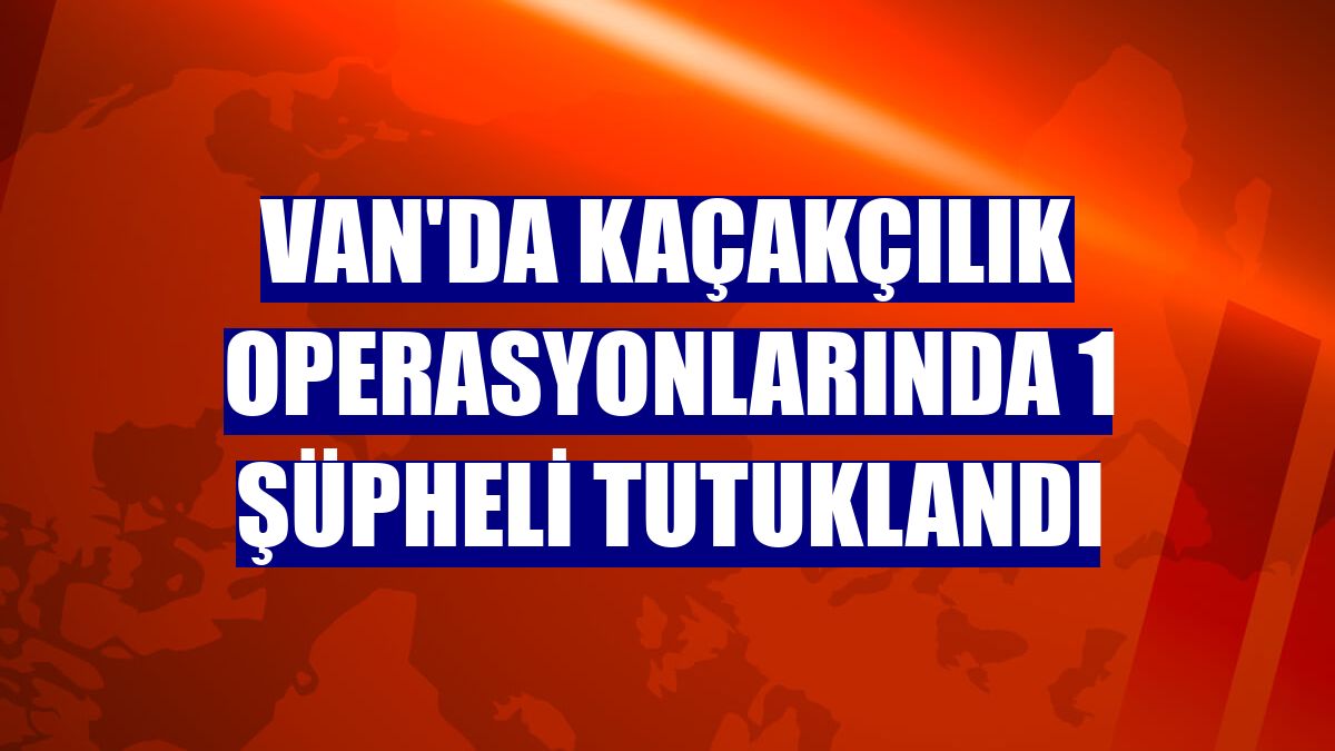 Van'da kaçakçılık operasyonlarında 1 şüpheli tutuklandı