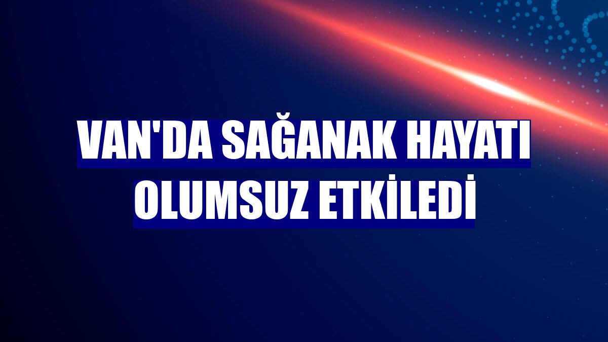 Van'da sağanak hayatı olumsuz etkiledi