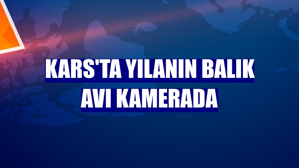 Kars'ta yılanın balık avı kamerada