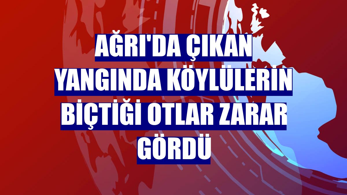 Ağrı'da çıkan yangında köylülerin biçtiği otlar zarar gördü