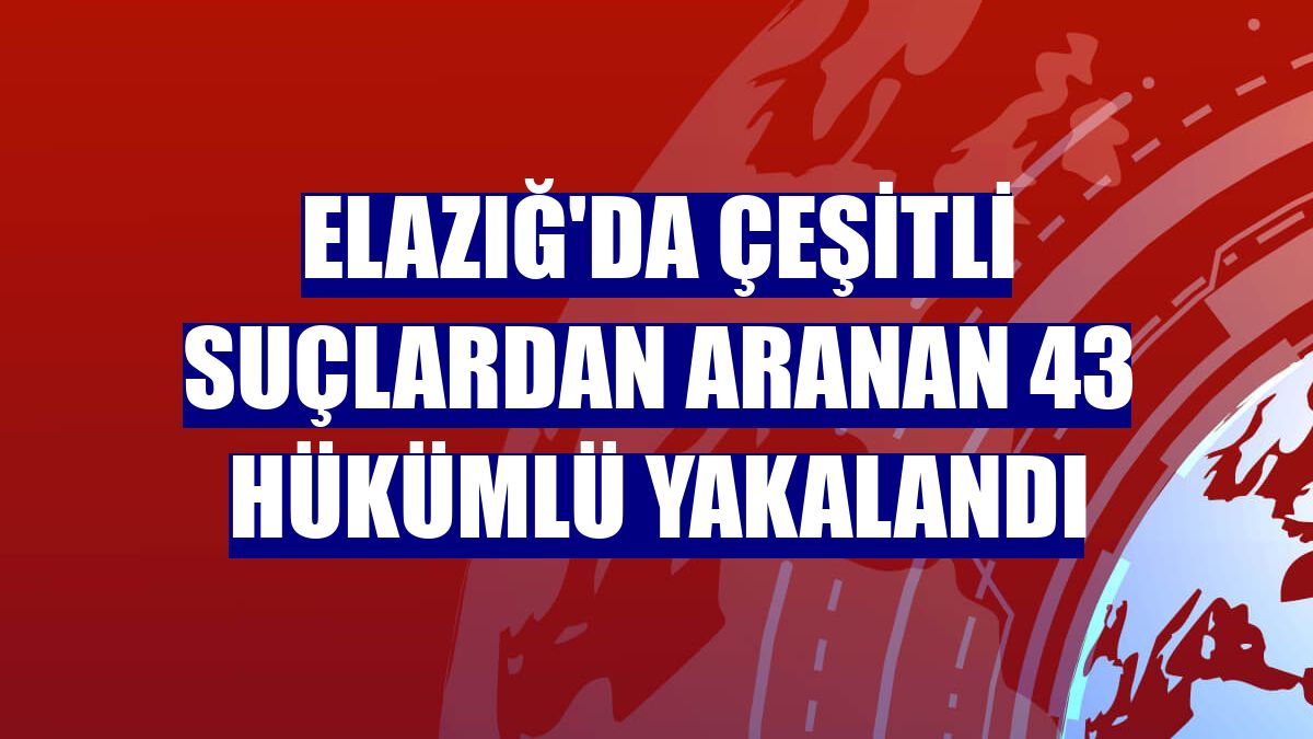 Elazığ'da çeşitli suçlardan aranan 43 hükümlü yakalandı