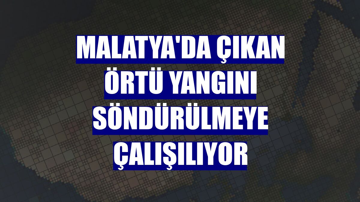 Malatya'da çıkan örtü yangını söndürülmeye çalışılıyor