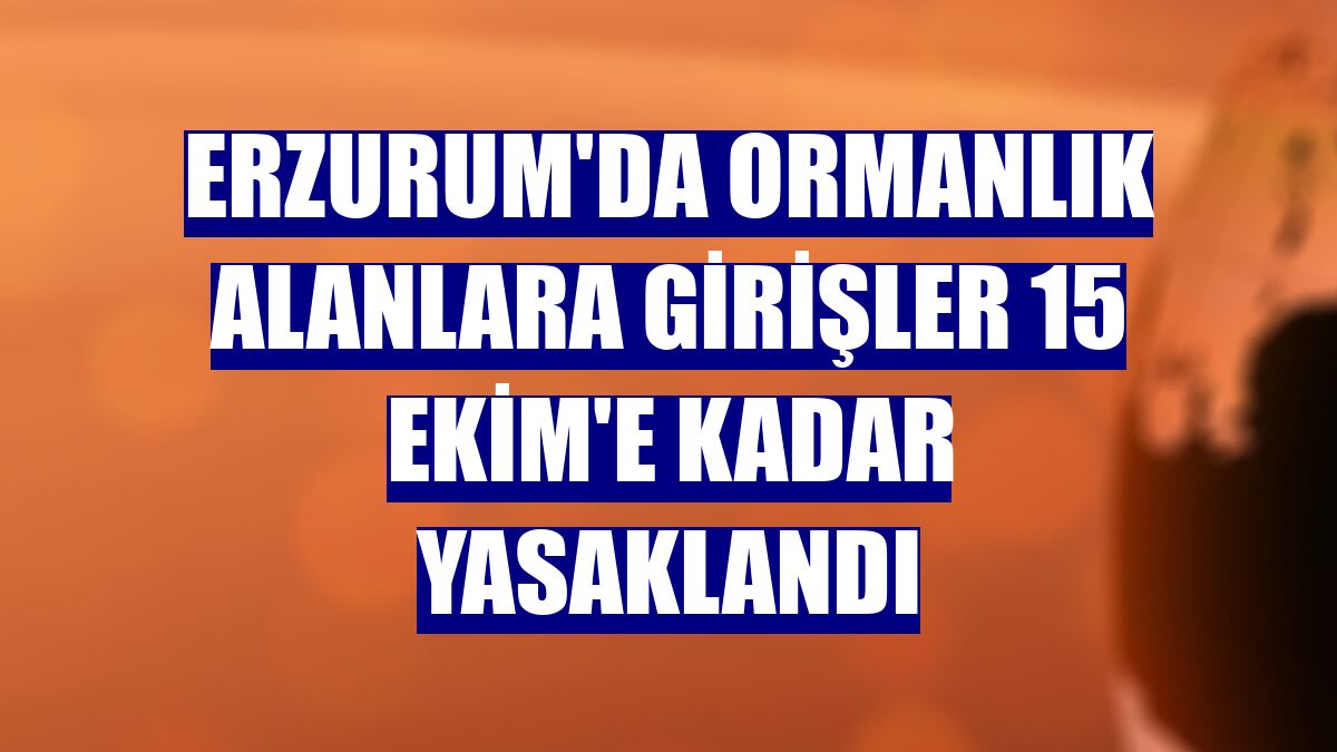 Erzurum'da ormanlık alanlara girişler 15 Ekim'e kadar yasaklandı