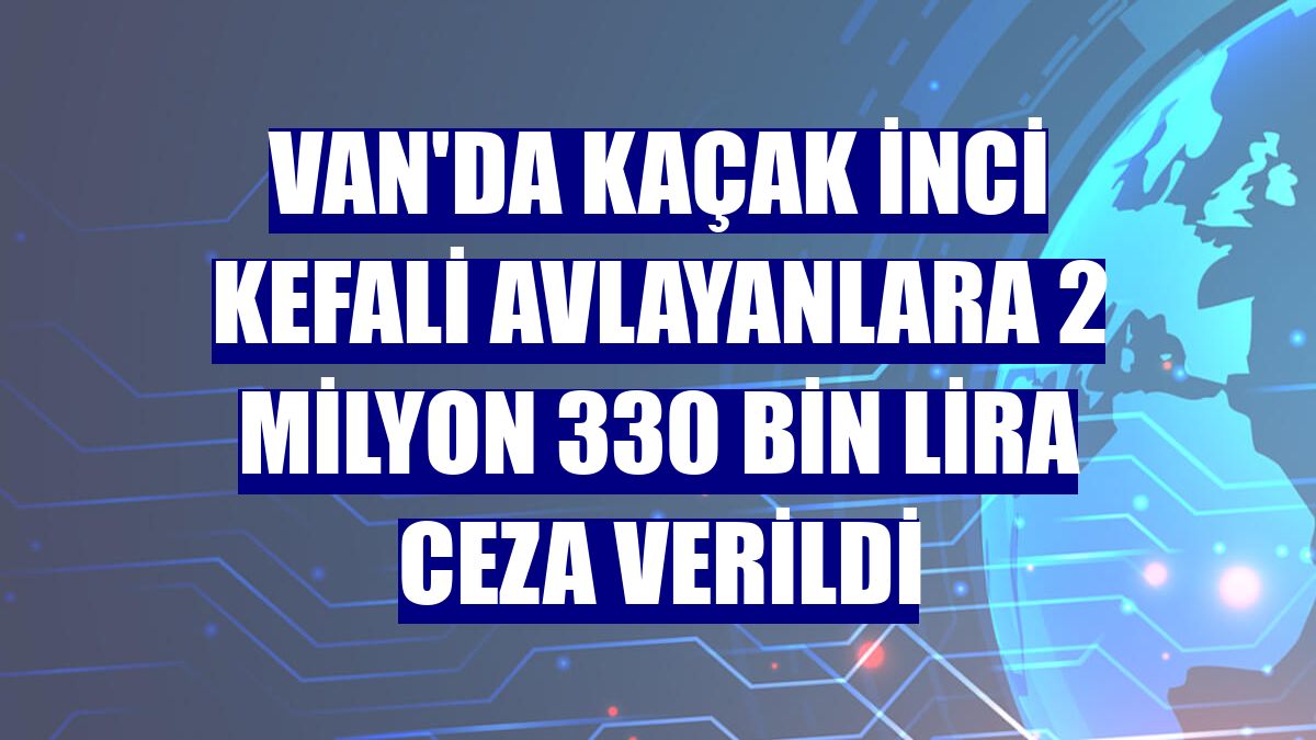 Van'da kaçak inci kefali avlayanlara 2 milyon 330 bin lira ceza verildi