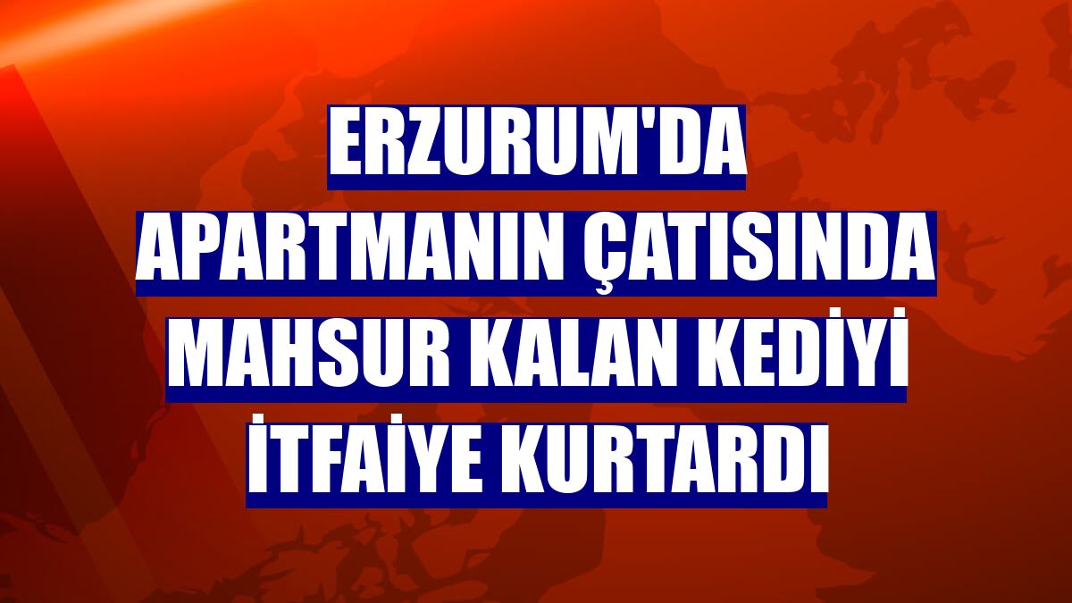 Erzurum'da apartmanın çatısında mahsur kalan kediyi itfaiye kurtardı
